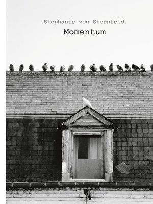 cover image of Momentum
